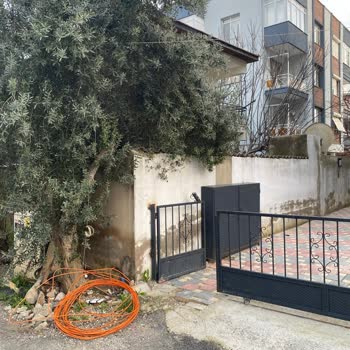 Kablolar Yer Altına Alınmadığı İçin Sürekli İnternet Kesintileri Yaşanıyor