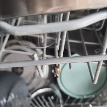 Üst Sepette Paslanma Ve 9 Bin TL Değişim Ücreti Mağduriyet Yaratıyor