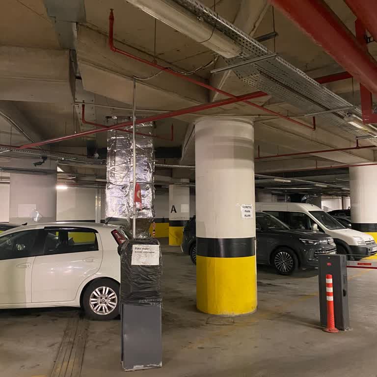 Ücretsiz Otopark İşaretinin Yetersizliği Ve 350 TL Ücret İadesi Talebi