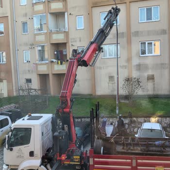 Uyarısız Direk Kesimi Ve Uzun Süreli Karanlık: Acil Onarım Talebi