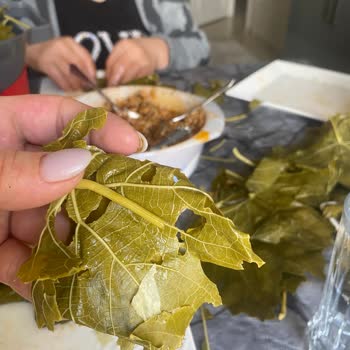 Kalitesiz Yapraklar Ve İade Reddi Nedeniyle 1.100 TL Tam İade Talebi