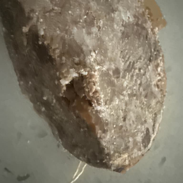 Torku Kavurmasında Sert Parçalar Ve İade Talebi