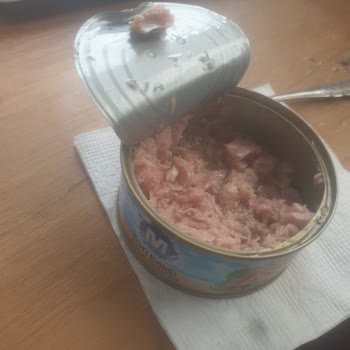 Migros Ton Balığında Kemik Çıktı Ve Boğazıma Kaçtı