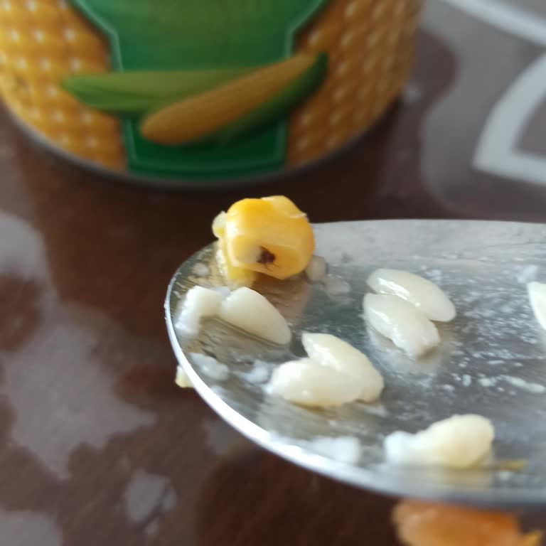 Kayseri BİM Konserve Mısırda Sinek Çıktı: Gıda Güvenliği Endişesi