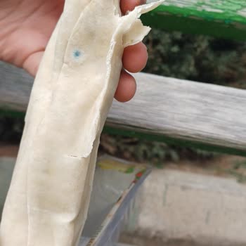 A101 Şubesinde Satılan Çiğ Köfte Bozulmuş Ve Küflenmiş