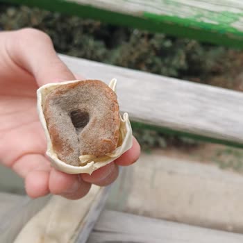 A101 Şubesinde Satılan Çiğ Köfte Bozulmuş Ve Küflenmiş