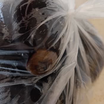 Migros Sanal Market'te Geç Teslim Edilen Ve Bayatlamış Et Ve Patlıcan Ürünleri