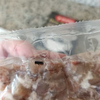 Akşeker Çorbada Sinek Vardı!