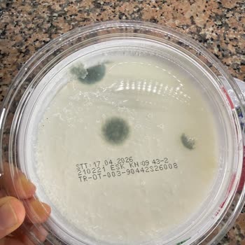 Pınar Organik Yoğurdunda Küf Tespiti Ve Marka Güvenine Darbe