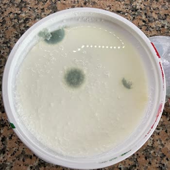 Pınar Organik Yoğurdunda Küf Tespiti Ve Marka Güvenine Darbe