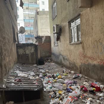 Emek Caddesi 504. Sokakta Çöp Birikmesi Ve Koku Sorunu İçin Acil Temizlik Talebi