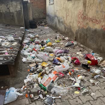 Emek Caddesi 504. Sokakta Çöp Birikmesi Ve Koku Sorunu İçin Acil Temizlik Talebi