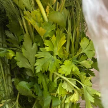 Bozuk Ürün Teslimatı Ve İade Talebime Cevap Gelmemesi