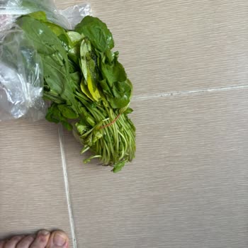 Bozuk Ürün Teslimatı Ve İade Talebime Cevap Gelmemesi