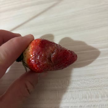 Bozuk Ürün Teslimatı Ve İade Talebime Cevap Gelmemesi