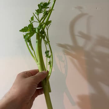 Bozuk Ürün Teslimatı Ve İade Talebime Cevap Gelmemesi