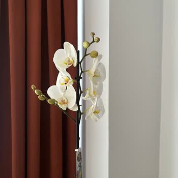 Çiçek Sepeti'nden Çift Dallı Ve Taşlı Orkide Yerine Tek Dallı Ve Taşsız Ürün Gönderildi