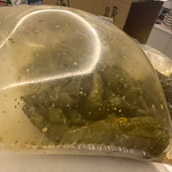 Bozulmuş Ve Ekşi Gelen Yaprak Sarması İçin Tam İade Talebi