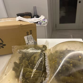 Bozulmuş Ve Ekşi Gelen Yaprak Sarması İçin Tam İade Talebi