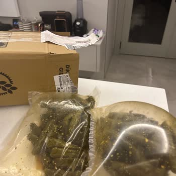 Bozulmuş Ve Ekşi Gelen Yaprak Sarması İçin Tam İade Talebi