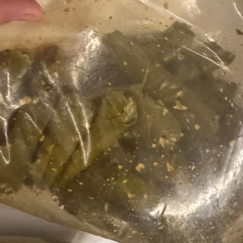 Bozulmuş Ve Ekşi Gelen Yaprak Sarması İçin Tam İade Talebi