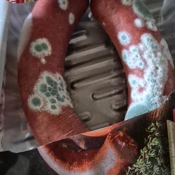 Müslümoğlu Dana Sucuğu Küflenmiş: Son Kullanma Tarihi Geçmemiş Olmasına Rağmen