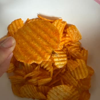 Bursa BİM'de Satın Alınan Patito Cipsinde Böcek Çıktı