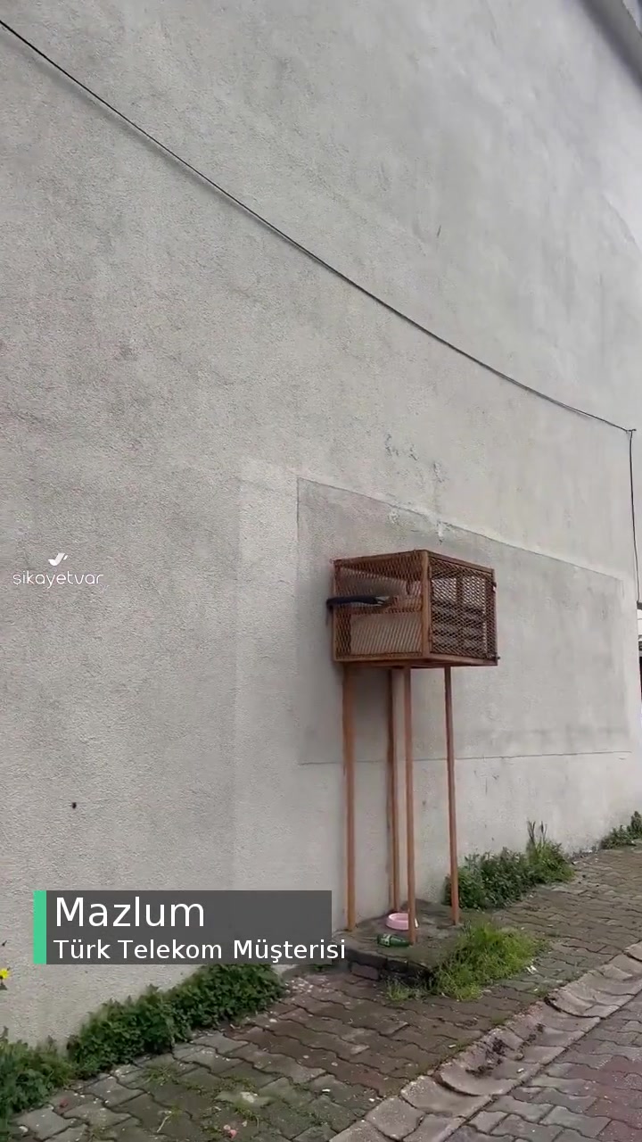 Türk Telekom Ve Yaptığı Hataları videonun kapak resmi