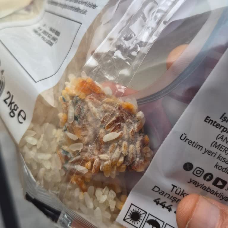 Hasgross Şubesinde Pirinçte Yabancı Madde Çocuğumun Mide Bulantısına Neden Oldu