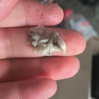 Mikserde Elektrik Çarpması Güvenlik Riski Ve Servis Hatası