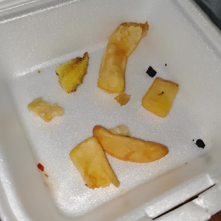 Patates Kızartmasında Sünger Parçası: Hijyen İhlali Ve Çözüm Beklentisi