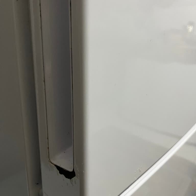 Garanti Dışı Kullanıcı Hatası İddiası Ve Paslanan Buzdolabı Kapakları