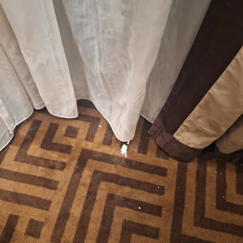 Ramada Golden Horn Odada Yoğun Rutubet Kokusu