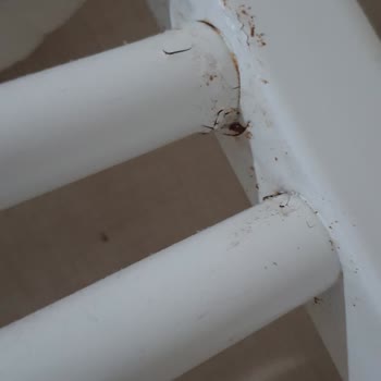 Petek Deliklerine İki Yıldır Cevap Almayan Özcan Doğalgaz