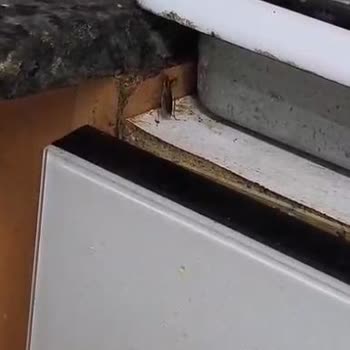 Akdeniz Apartları'nda Şofben Arızaları Ve Hijyen Sorunları