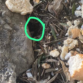 Akdeniz Apartları'nda Şofben Arızaları Ve Hijyen Sorunları