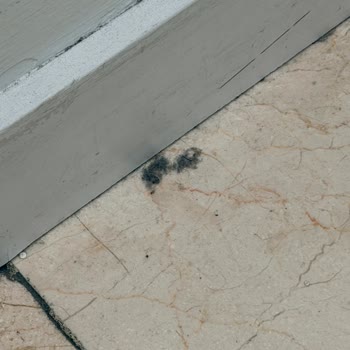 Marmara Forum Boyner Kabinleri Aşırı Kirli, Temizlik İhtiyacı