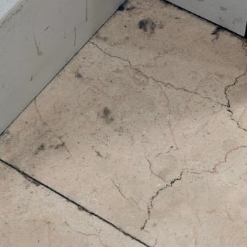 Marmara Forum Boyner Kabinleri Aşırı Kirli, Temizlik İhtiyacı