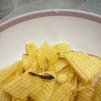 Cips İçinde Böcek Bulunması Sağlık Ve Hijyen Endişesi