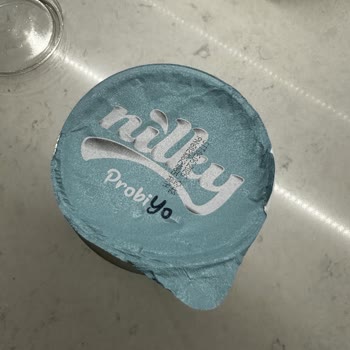 Nilky Probiyo Yoğurdunda Açılmamış Ambalajda Turuncu Yabancı
