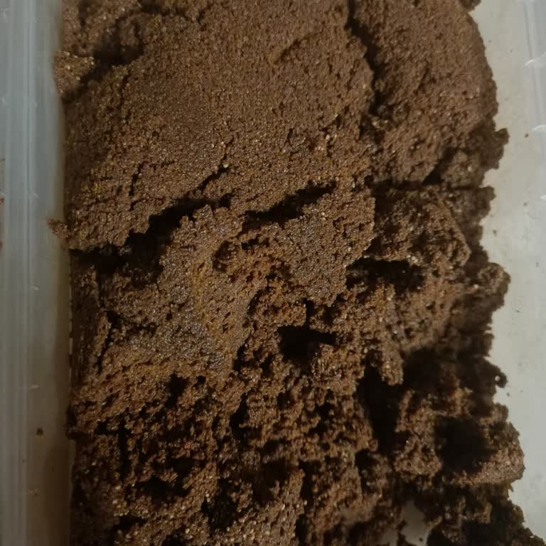 Yanık Çavuşoğlu Haşhaş Ezmesi İçin İade Talebi Ve Cevap Bekleniyor