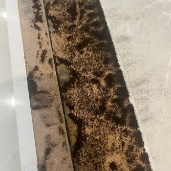 Tema 2 Sitesinde Küf Sorunu!