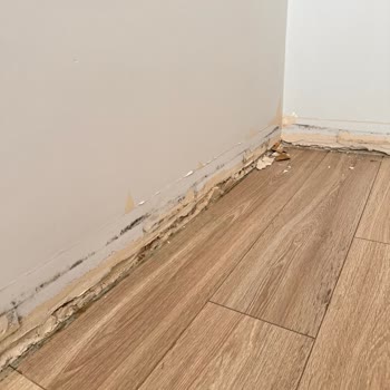 Tema 2 Sitesinde Küf Sorunu!