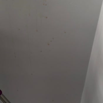 Patlayan Şişe Nedeniyle Nikah Kaçırma Ve Evde Büyük Kirlilik