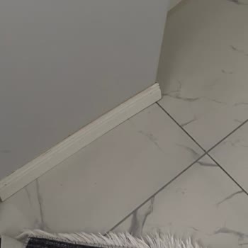 Patlayan Şişe Nedeniyle Nikah Kaçırma Ve Evde Büyük Kirlilik