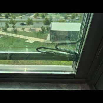 Albert Genau Diyarbakır Şubesinin Arızalı Cam Balkon Sisteminde Verilen Sözlerin Tutulmaması