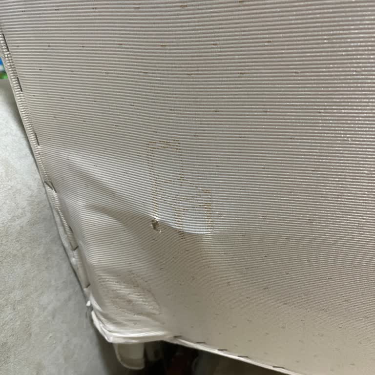 Mavenna Oturma Grubu Yay Çıkması Ve Sünger Tozu Sorunu, Servis Cevapsızlığı