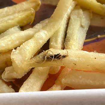 Popeyes Patatesinde Böcek, Midem Bulandı Ve Telafi Bekliyorum