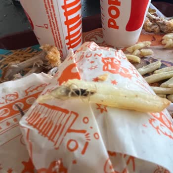 Popeyes Patatesinde Böcek, Midem Bulandı Ve Telafi Bekliyorum