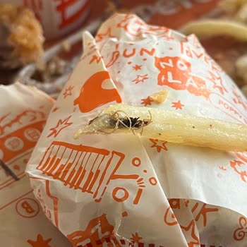 Popeyes Patatesinde Böcek, Midem Bulandı Ve Telafi Bekliyorum